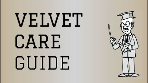 Velvet Comfort The Ultimate Guide to Care and Maintenance